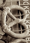 Wall_Art_Alphabet_Photography_Art_ 248